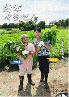 在线观看 暑期档